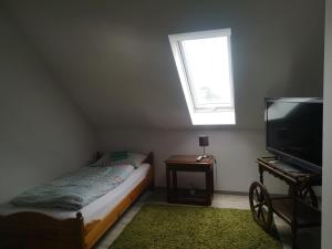 巴德劳西克Schmetterling Zimmer的一间小卧室,配有一张床和电视