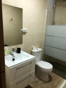 阿尔赫西拉斯Apartamentos Albeniz的一间带卫生间、水槽和镜子的浴室