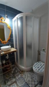 马斯帕洛马斯Casa Mamre的带淋浴、卫生间和盥洗盆的浴室