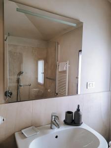 帕多瓦Casa Locatelli - Apartment Deluxe & Suite的一间带水槽和大镜子的浴室