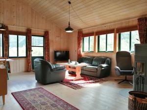 米达尔Reinunga Eco Hytta - Mountain lodge near Myrdal accessible only by train or bike的客厅配有真皮沙发和电视