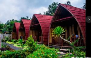 金塔马尼Kintamani Cabins的花园中一排带红色屋顶的小屋