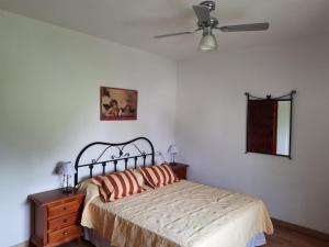 米哈斯FINCA VALENZUELA的一间卧室配有一张床和吊扇