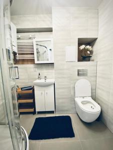 桑多梅日Apartament Króla的一间带卫生间和水槽的浴室