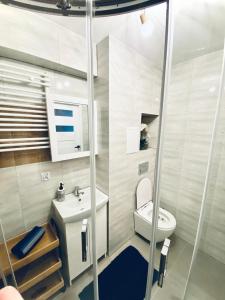 桑多梅日Apartament Króla的一间带卫生间和水槽的小浴室