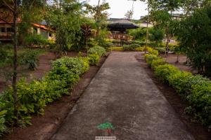 凯科罗克欧达博弈马拉营地豪华帐篷旅馆的穿过种有植物的花园的路径