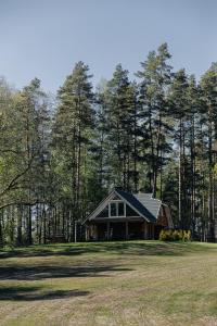 Laukbeitini"Gaujmale" sauna house in nature的树木林立的田野中的房子