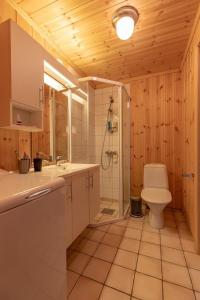 特吕西尔Beautiful cabin close to activities in Trysil, Trysilfjellet, with Sauna, 4 Bedrooms, 2 bathrooms and Wifi的浴室配有卫生间、淋浴和盥洗盆。