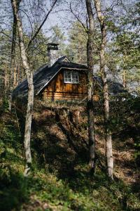 Laukbeitini"Gaujmale" sauna house in nature的树林里的木小屋