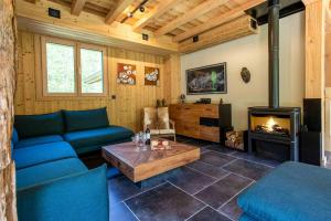 夏蒙尼-勃朗峰Chalet du Gouter - Chamonix All Year的带沙发和壁炉的客厅