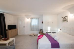 圣斯特凡诺斯mykonos 1001的一间白色卧室,配有床和电视