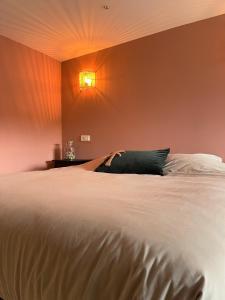 莱利斯塔德Zwikker aan de Haven的卧室配有一张白色大床,墙上有灯