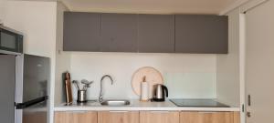 巴什卡沃达TAKE IT EASY Mobile Home, Camp Basko Polje #New2022的厨房配有灰色橱柜和水槽