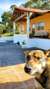 伊塔年杜IVOS Hostel & Camping的狗坐在房子前面