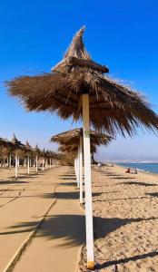 卡塔尼亚playa home的相册照片