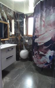 斯维诺乌伊希切Willa Aurelcia的一间带卫生间和淋浴帘的浴室