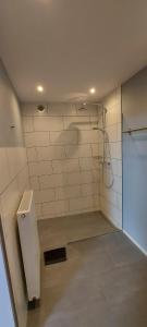 黑伦塔尔Landhaus Eifelsicht的带淋浴、卫生间和盥洗盆的浴室