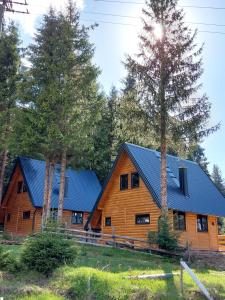 亚霍里纳Gorske Vile Jahorina的小木屋拥有蓝色屋顶和两棵树