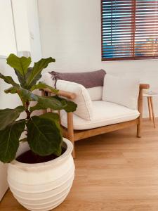 楠巴卡黑兹THE DAVEY Luxury home的带沙发和盆栽植物的客厅