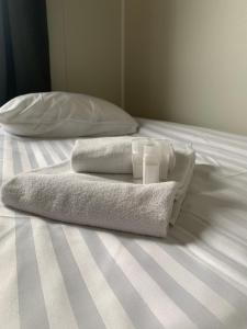基律纳Kiruna City Room的床上的两条毛巾