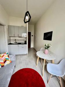帕多瓦Padova Dream: flat in the heart of Padua的客厅配有沙发和一张红色地毯的桌子