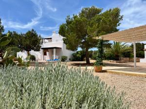 卡拉索纳Can Chumbera Formentera的享有花园的景致。