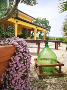 Montefiore dellʼAsoLa Dolce Vallata的一块绿玻璃花瓶,坐在一些花边