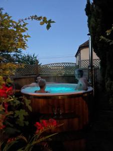 Gorgeous Country Cottage on outskirts of Bath with Wood Fired Hot Tub内部或周边的泳池