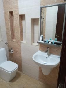 马斯喀特ريلاكس ان للشقق الفندقية relax inn的一间带水槽、卫生间和镜子的浴室