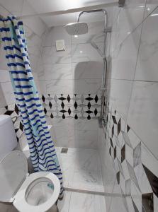 新瓦罗什Jovana的带淋浴和卫生间的浴室