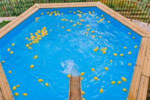 特拉蒙蒂Villa Le Murelle的一群橘子在水中