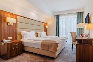莱斯诺夫瑞萨酒店的酒店客房设有一张大床和一张书桌。
