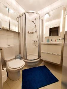 滨海伯内尔维尔Le bord de plage的带淋浴和卫生间的浴室以及蓝色地毯。