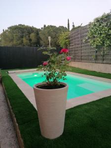 MimiLou rez-de-jardin avec piscine & spa内部或周边的泳池