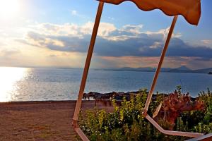 阿马林索斯Το Κοράλι的一个带遮阳伞的海滩和大海
