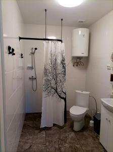 阿格洛纳BALTĀ māja的带淋浴帘和卫生间的浴室