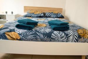 Gaillonstudio cosy TV WIFI confortable et chaleureux的一张带蓝色毯子和枕头的床