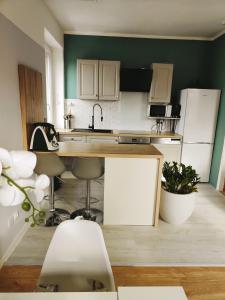 马赛Marseille superbe appartement refait à neuf的厨房配有白色橱柜和绿色墙壁