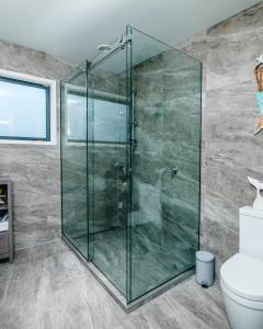 皮克顿Boathouse Apartments的一间带卫生间的浴室内的玻璃淋浴间