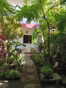 格拉纳达Museito de Carlos的一座花园,在一座建筑前种有树木和植物