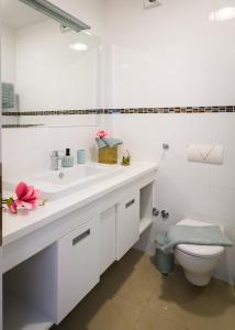 珀德垂那Lavica Bellevue apartments & studios的白色的浴室设有水槽和卫生间。