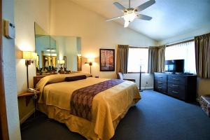 大熊湖雪湖旅舍的酒店客房配有一张床和吊扇。