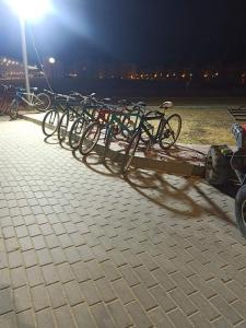 艾因苏赫纳Private chalte Palmera sokhna family的夜间停在码头上的一排自行车