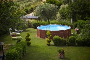 索拉诺Fonteetrusca的花园,草地上设有一个大型游泳池
