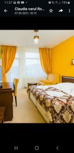 普雷代亚尔白朗峰酒店的酒店客房配有一张床、一张书桌和一张书桌。