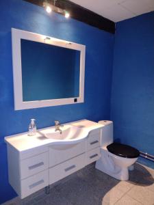 阿灵厄Store Lærkegård的蓝色的浴室设有水槽和卫生间