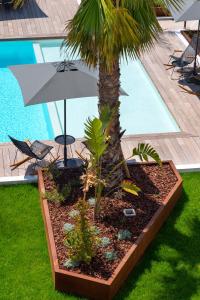 圣艾格夫Van der Valk Hotel Bloom的棕榈树和泳池旁的遮阳伞