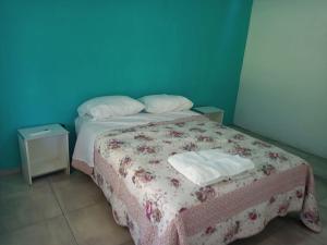 费德拉西翁Casa de Campo La Amada的小卧室配有一张带毯子和枕头的床