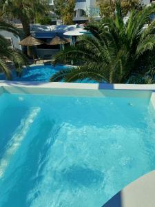 卡马利泽菲罗斯酒店的一个带棕榈树和遮阳伞的蓝色游泳池