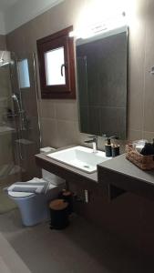 阿莫利亚尼岛Melograno Apartment的一间带水槽、卫生间和镜子的浴室
